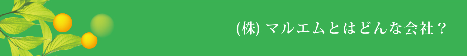 (株)マルエムとはどんな会社？